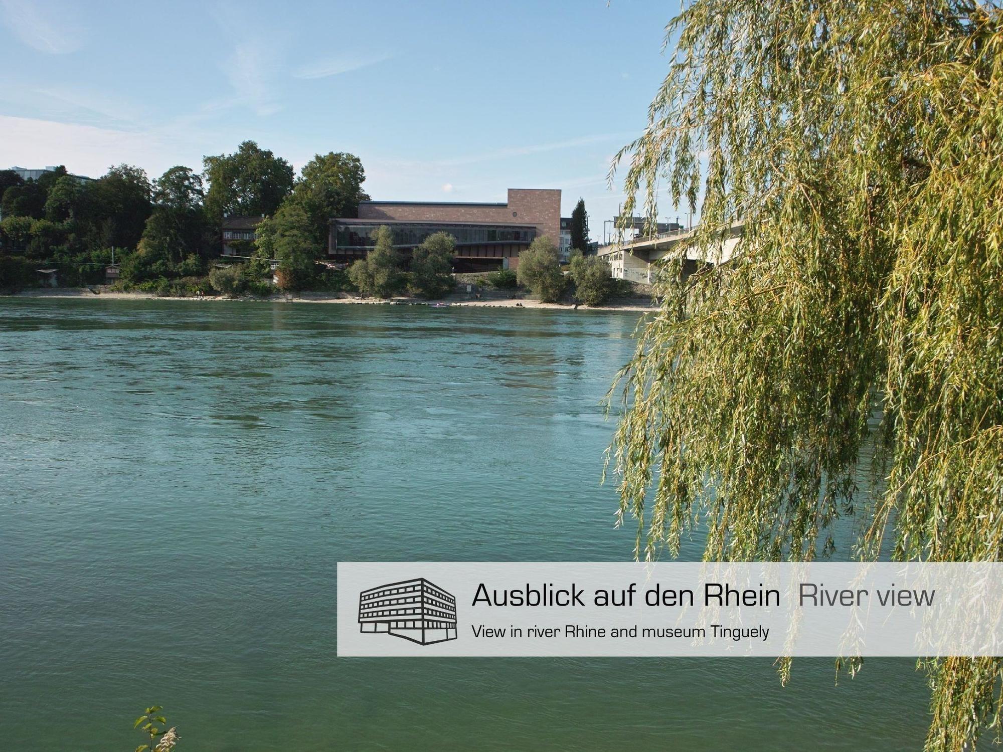 Dasbreitehotel Am Rhein Basel Exterior foto